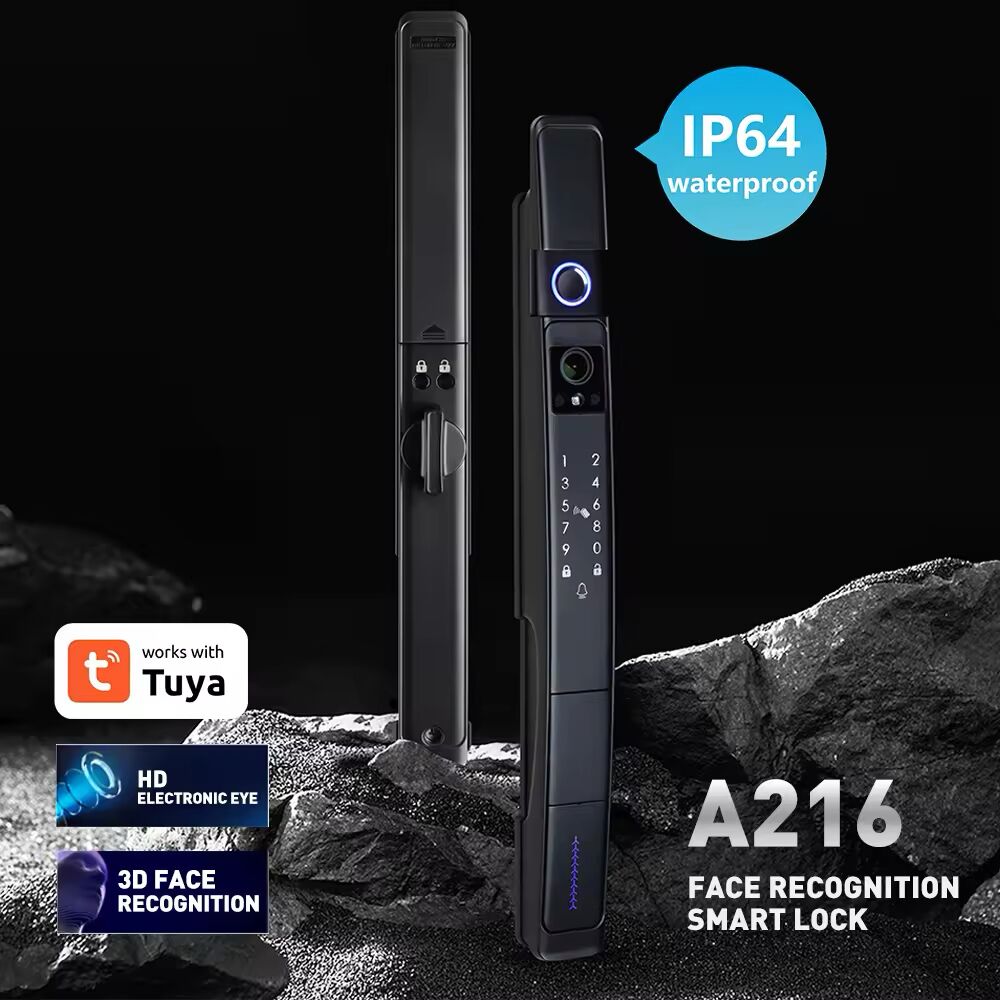 3D Face Recognition Fingerprint Smart Door Lock APP Control Biometric Keyless Entry Outdoor - Image 2