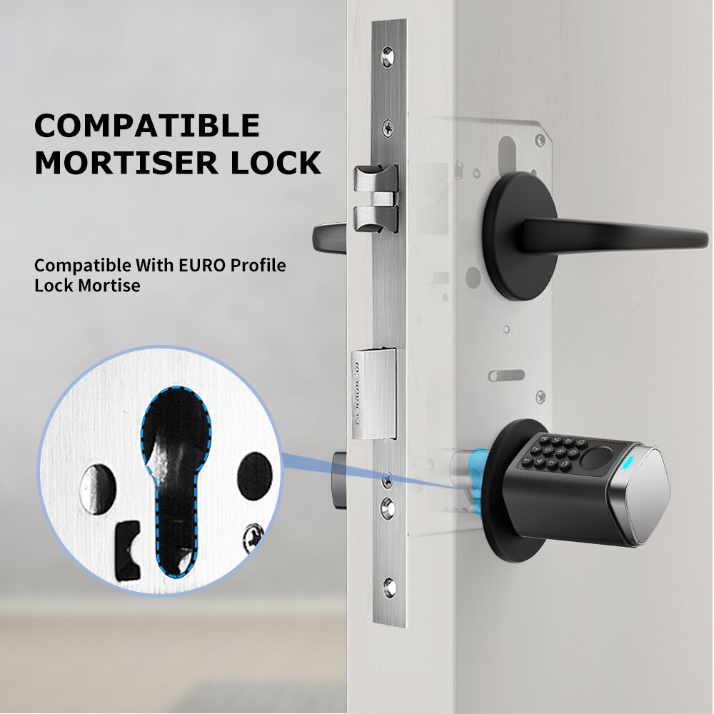 S7 Euro Cylinder Electronic TTLock Bluetooth Fingerprint Digital Lock for Rental Property - Image 5
